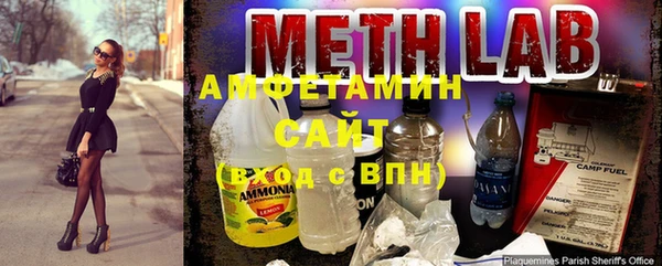 крисы Алзамай