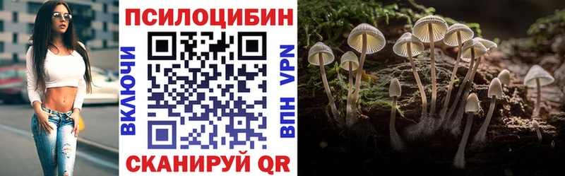 закладка Находка KRAKEN как зайти Псилоцибиновые грибы Psilocybine cubensis