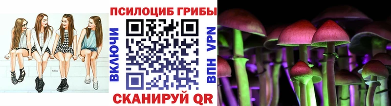 Псилоцибиновые грибы Cubensis Находка